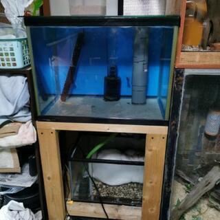 60cmワイドオーバーフロー水槽