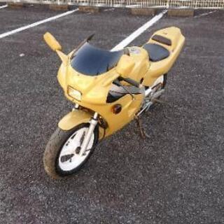 NSR50 の画像