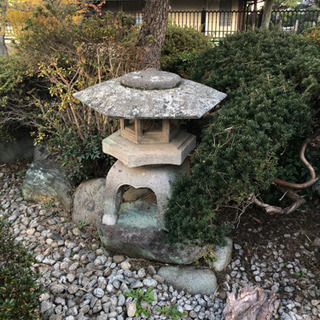 日本庭園の灯籠、石、松2本、その他の植木、敷石の画像
