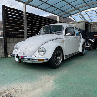 VW ビートル　タイプ1の画像