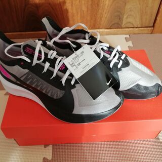 ナイキ NIKE メンズランニング シューズ BQ3202 25...
