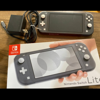 Switch lite