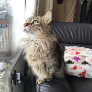 応募締め切りました。ありがとうございました