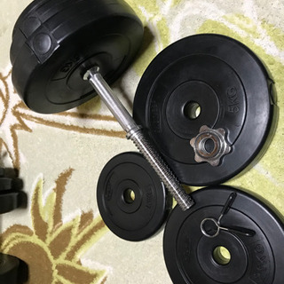 ダンベル　20kg×2個　1式の画像