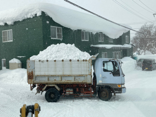 4トンダンプで排雪いたします！年内対応可能！