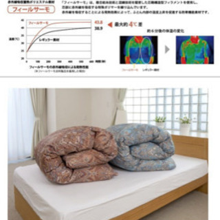 羽毛布団　極暖　高品質　フィールサーモ使用　裏表同じ模様の画像