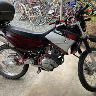 低走行！ヤマハ XTZ125 フルサイズオフロードバイク