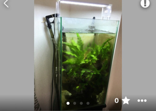 水槽ライト