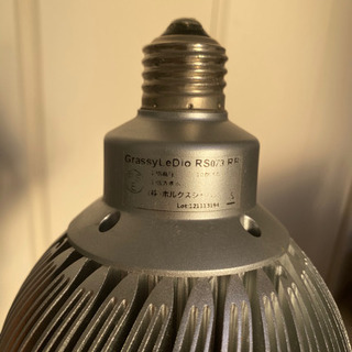 Grassy LeDio RS073 RBの画像