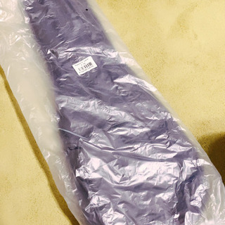 新品未使用ウクレレコンサートサイズ　ソフトケースの画像