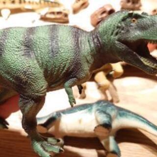 favorite collection製4体含む恐竜フィギュア7体とスカル11個の画像
