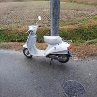 再投稿！余り見ないスクーター旧車スズキ欄