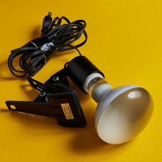 [値下げ]アイランプ＋ソケット　セット 2000円　