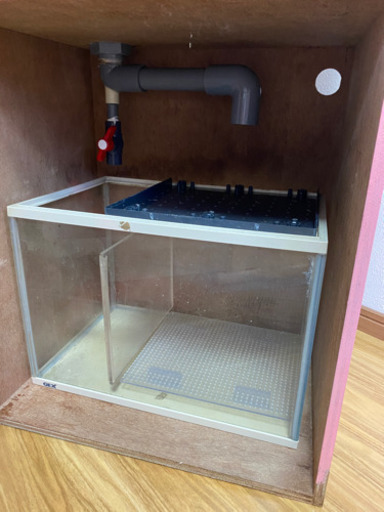 【募集中】中古 オーバーフロー水槽セット