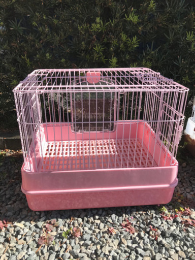 うさぎ小屋　ピンク