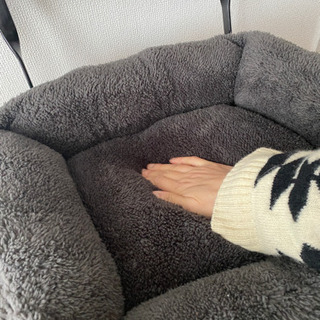 ワンちゃん猫ちゃんベッドの画像