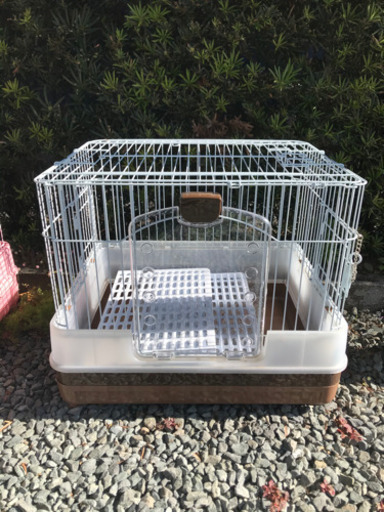 受け渡し者決定しました。うさぎ小屋　ホワイト