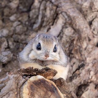 カメラグループに入りませんか😄 初心者歓迎です✨