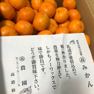 ◆完全売切！税込価格！◆和歌山県日高郡産・丸高農園入野早生みかん...