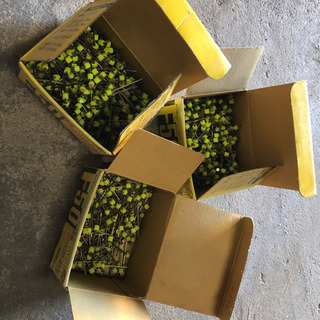 かくし釘　50ミリ　3箱の画像