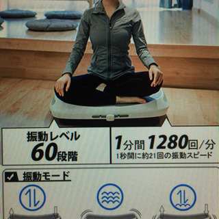 【美品】3D振動マシンの画像