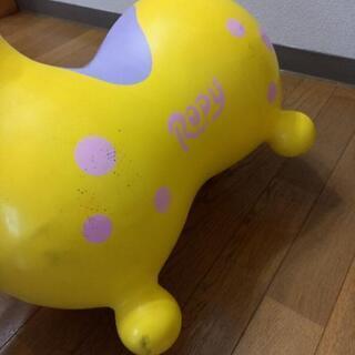 ロディの画像