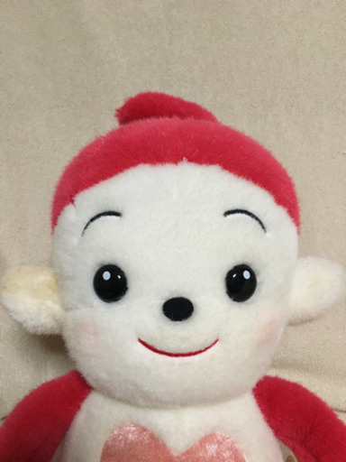 商談中  プリモプエル