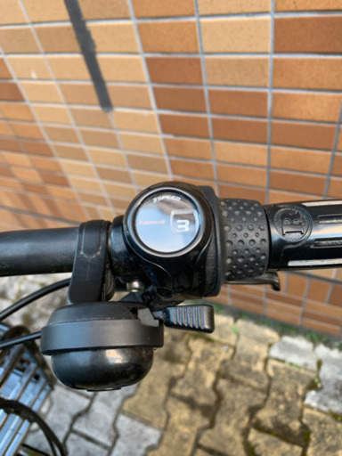 《商談成立しました》ヤマハパスバビーアン