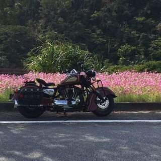 2001年 Harley-Davidson 1200 Sport...