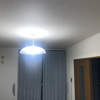 ライトの画像