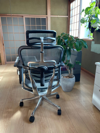 Ergohuman Pro (ホワイト)令和2年1月に購入しました。