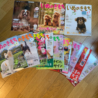 初めての飼い主さんの犬のきもち