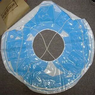 【買います→3万円】サクラ大戦　浮き輪（100cm）