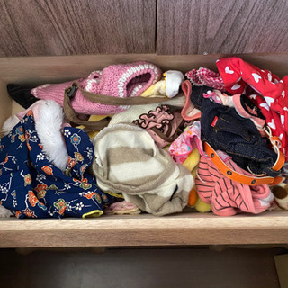 ペット服の画像