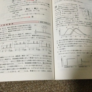 受験勉強　テキスト　生物の画像