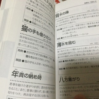 受験勉強　テキスト　生物の画像