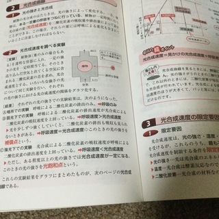 受験勉強　テキスト　生物の画像