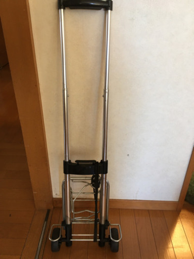 キャリー