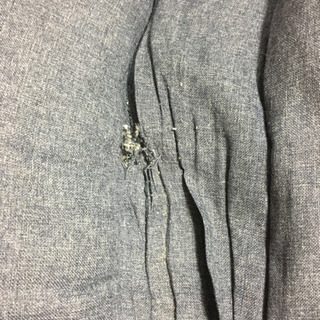 カジュアルソファ Nシェア ニトリ 少し破れありの画像