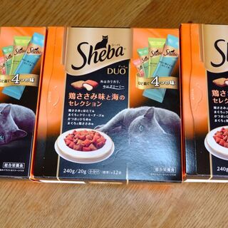 猫の餌３箱　+α