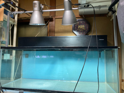 コトブキ120水槽セット