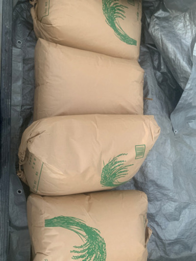 玄米　無農薬キヌヒカリ　令和2年産　