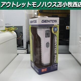 新品 懐中電灯 ジェントス 直接充電式  GS-M04DR GE...