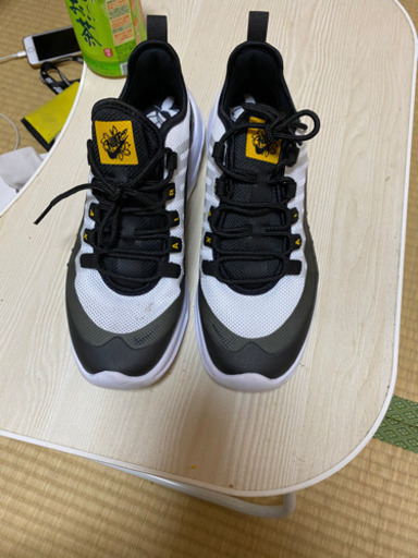 NIKE ナイキ スニーカー Ari サイズ　25cm 5500円