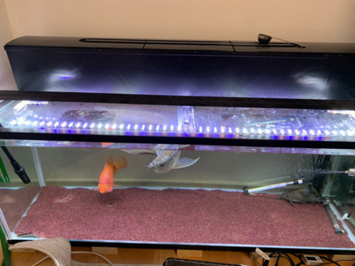 120センチガラス水槽