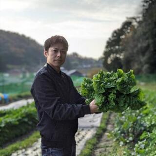 一緒に、自給自足をしませんか？農業、狩猟、養鶏、木工、キャンプなど