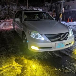 レクサス LS460 siパッケージ パールホワイト