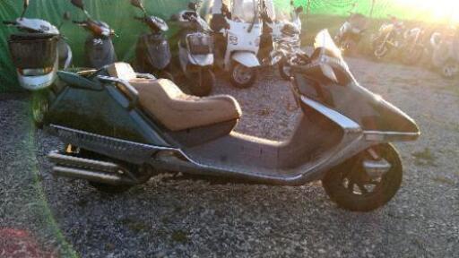 富士見市からフュージョン