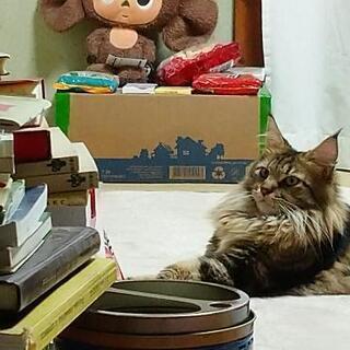 🇷🇺長野県伊那市にある小さなロシア&ウクライナ語教室🇺🇦の画像
