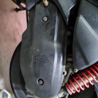 シグナス2型の画像